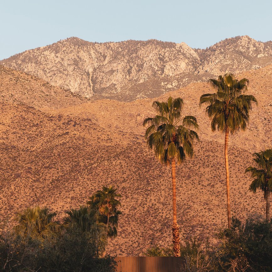 Palm tree and tall mountains that surround our Palm Springs luxury hotel, Hermann Bungalows.